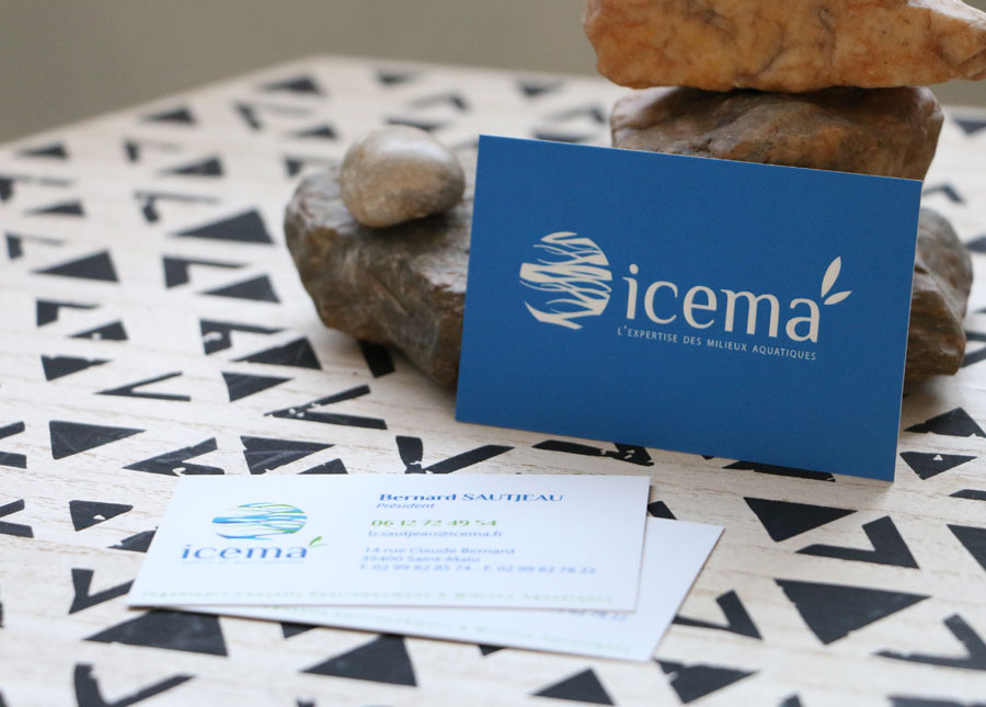 Création de cartes de visite pour Icema à Saint-Malo