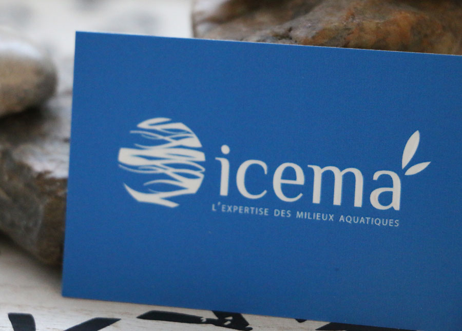 Création du logo pour Icema à Saint-Malo